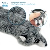 Best Pet Supplies Squeaky Dog Toys with Soft Durable Fabric for Small, Medium and Large Pets Interactive Toy for Indoor Play, Supports Active Biting and Play – Fuchsia, Green, Medium(Multicolor/Raccoon & Fox)