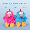 Best Pet Supplies Squeaky Dog Toys with Soft Durable Fabric for Small, Medium and Large Pets Interactive Toy for Indoor Play, Supports Active Biting and Play – Fuchsia, Green, Medium(Mrs. Cluck (Blue))