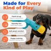 Best Pet Supplies Squeaky Dog Toys with Soft Durable Fabric for Small, Medium and Large Pets Interactive Toy for Indoor Play, Supports Active Biting and Play – Fuchsia, Green, Medium(aCrinkle Duck (Turquoise))