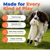 Best Pet Supplies Squeaky Dog Toys with Soft Durable Fabric for Small, Medium and Large Pets Interactive Toy for Indoor Play, Supports Active Biting and Play – Fuchsia, Green, Medium(Grey/Sheep)