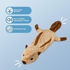 Best Pet Supplies Squeaky Dog Toys with Soft Durable Fabric for Small, Medium and Large Pets Interactive Toy for Indoor Play, Supports Active Biting and Play – Fuchsia, Green, Medium(Brown Dark Brown/Squirrel)