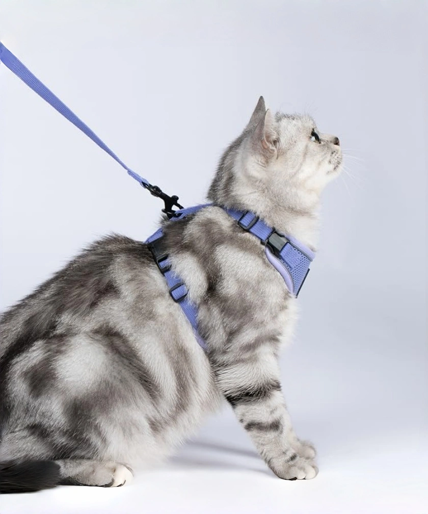 BESTPETX Pet Training Supplies and PetCare