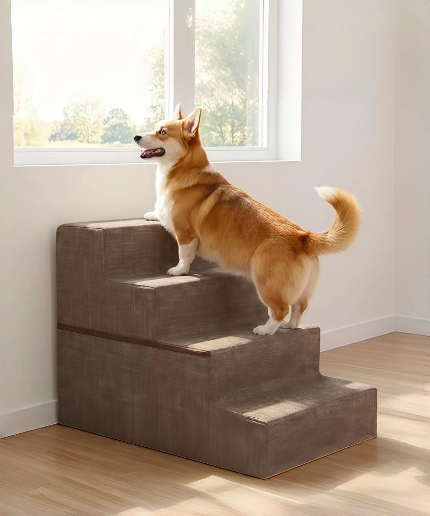 BESTPETX Pet Training Supplies and PetCare